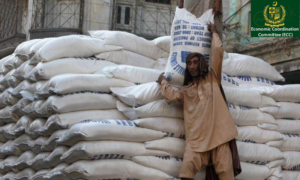 ECC Gives Green Light for Another 0.5 Million Tons Sugar Export