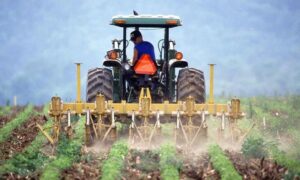Farmer Support without Support Prices The Sustaining of Agriculture